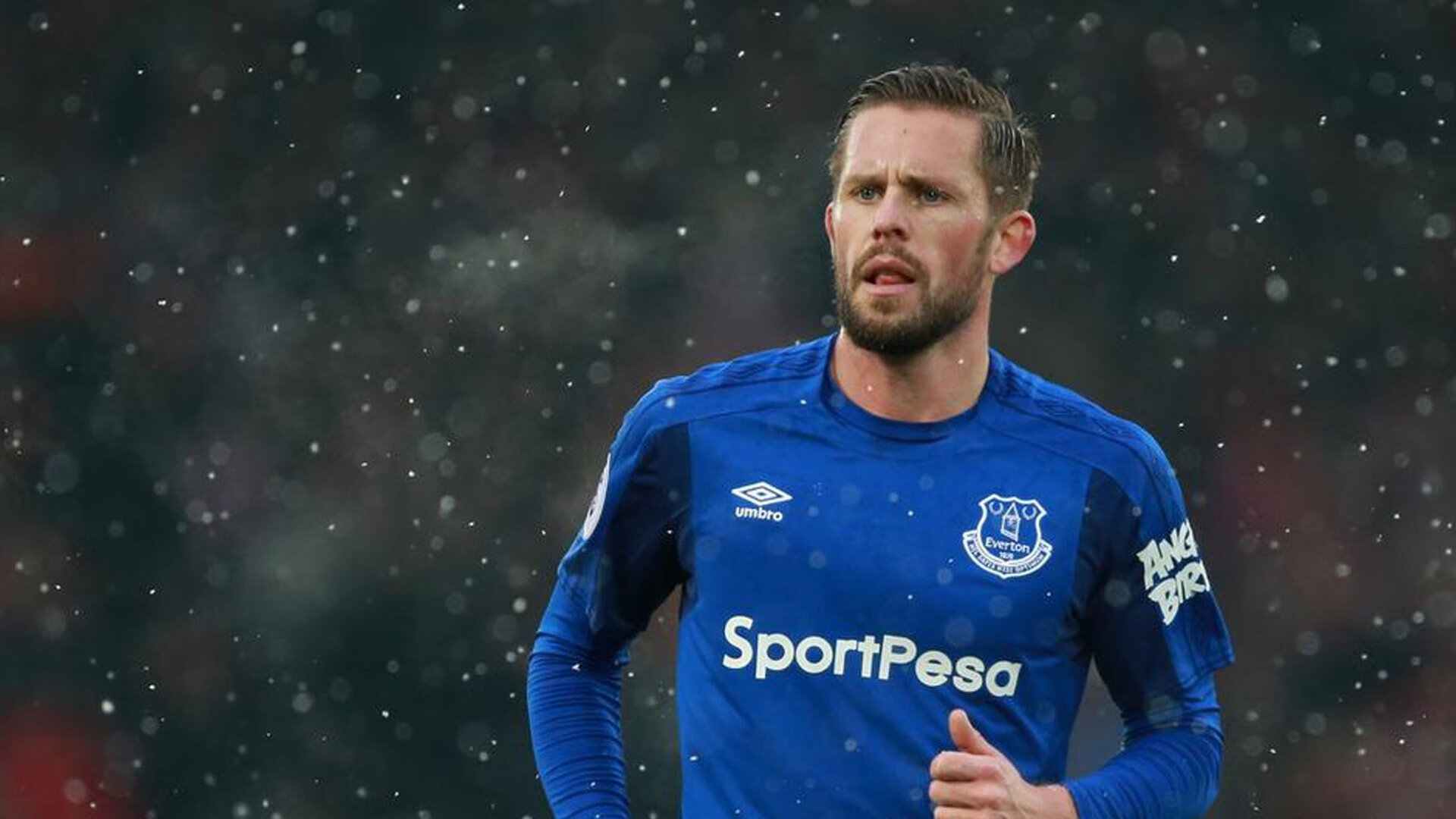 体育新闻中心赛季观察专栏，体育赛事新闻报道