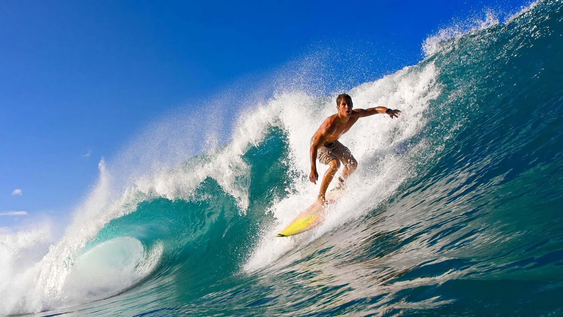 体育新闻中心第一手报道，体育新闻专题报道